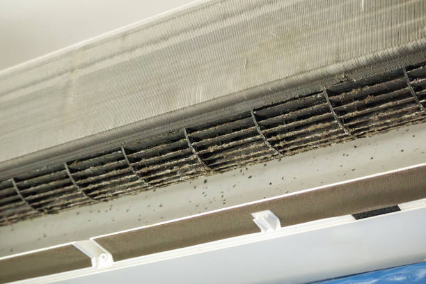 Best Local Air Duct Cleaning Services  in Owings, MD