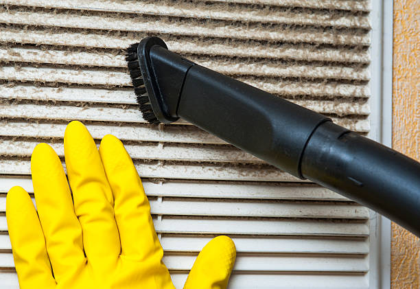 Best Air Duct Mold Removal  in Owings, MD